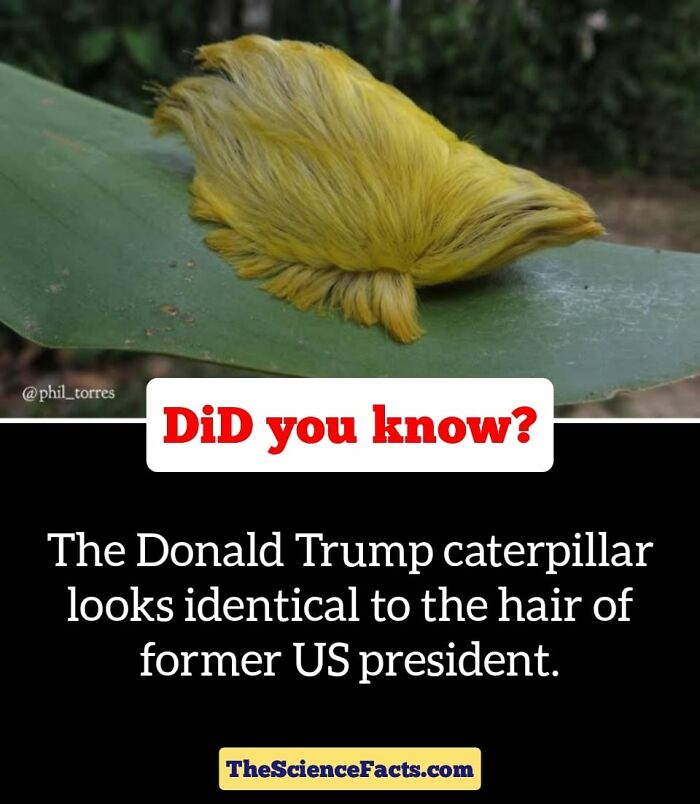 Interesting-Wildlife-Facts