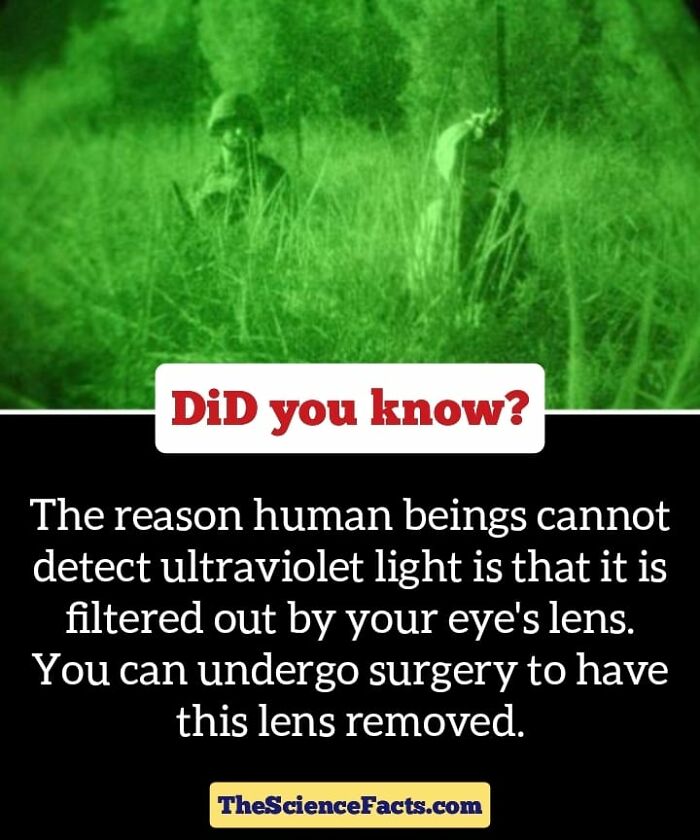 Interesting-Wildlife-Facts