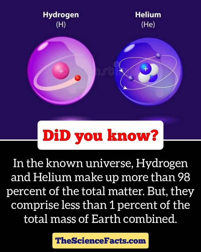 Interesting-Wildlife-Facts