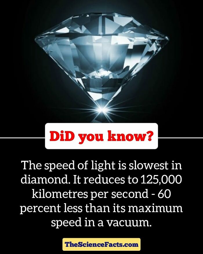 Interesting-Wildlife-Facts