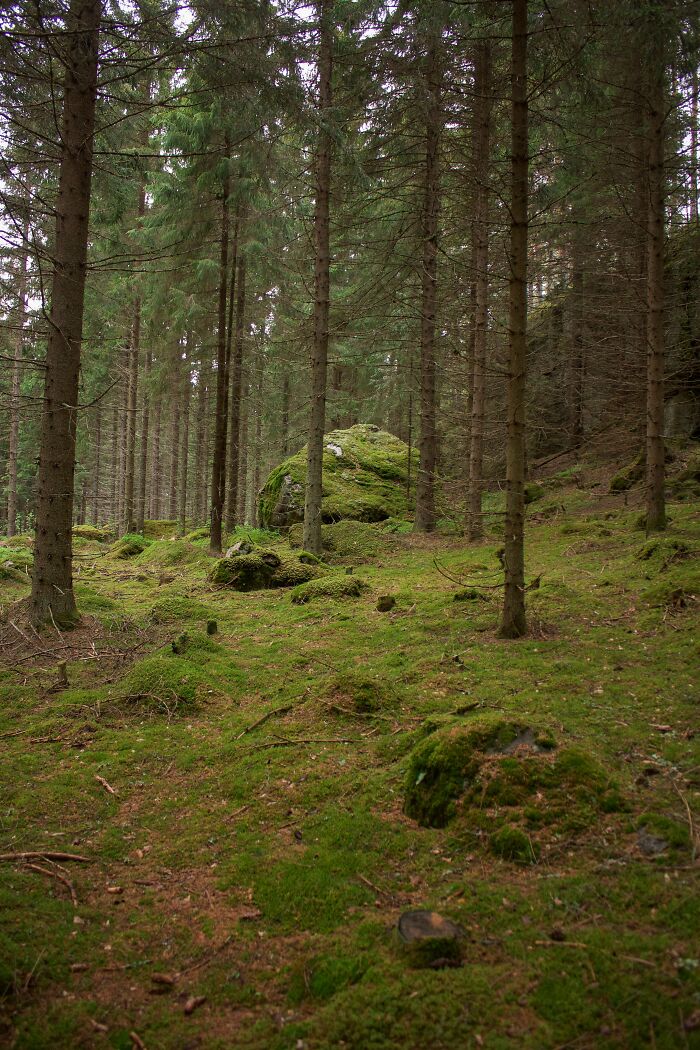 Internet Users Are Sharing Facts That Can Save Your Life, And Here Are 40 Of The Most Useful Ones - 6