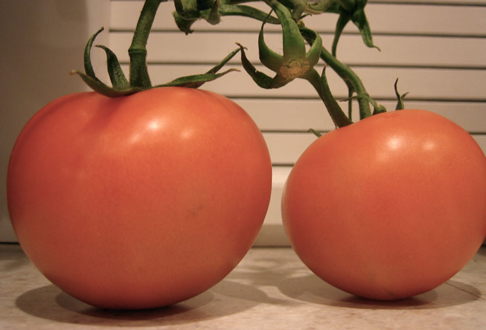 People Share What Modern Food Trends They Just Can't Stand