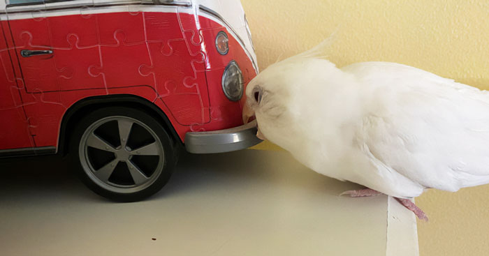 Sir, That Is Distruction Of Property