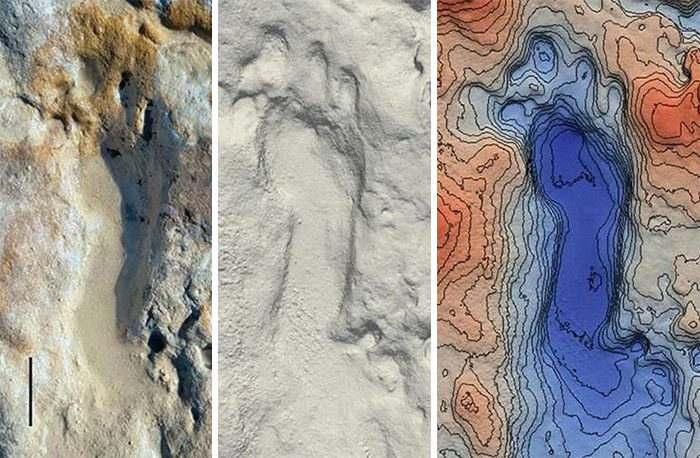 100,000 Years Ago, A Group Of Neanderthals In Spain Walked Down To The Beach