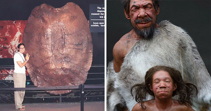 50 Of The Most Interesting Pics That Prove That “Nature Was Metal” Millions Of Years Ago