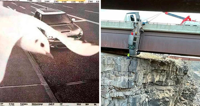 40 People Share Things That Happened That Are So Rare, They Seem Nearly Impossible (New Pics)