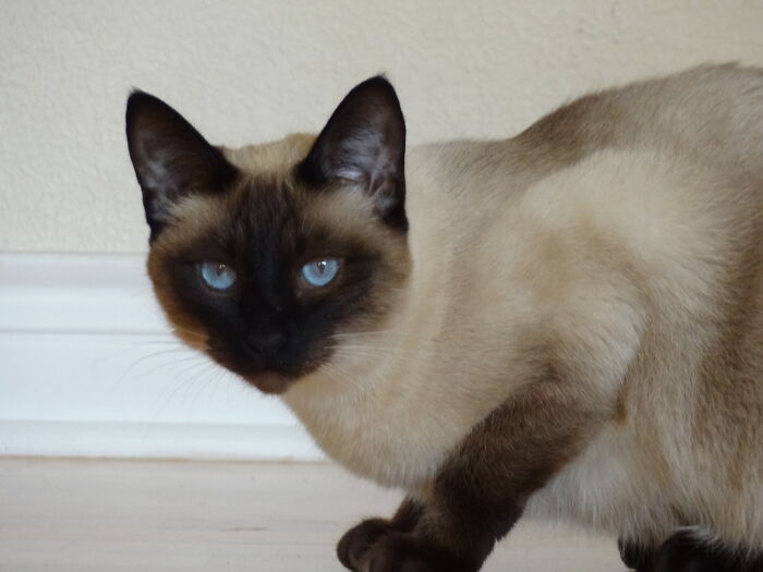 30 People Confess The Terrible Things They Did As Kids And Have Regretted All Their Lives