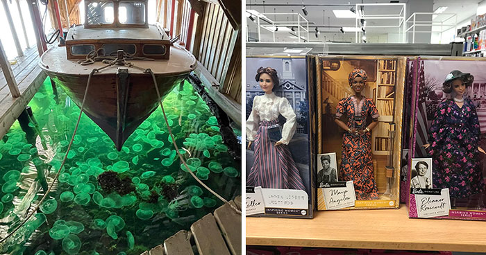 50 ‘Mildly Interesting’ Things You May Have Never Seen Before, As Shared In This Online Group (New Pics)