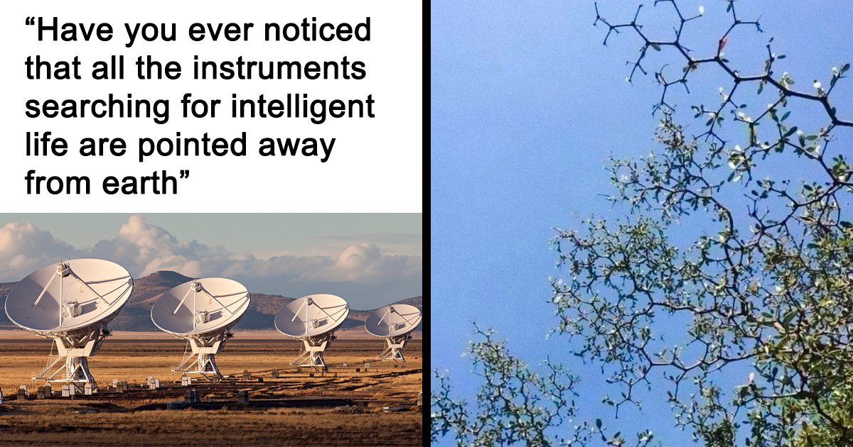 Bad Experiments, Questionable Science And 44 Memes From The Darker Side