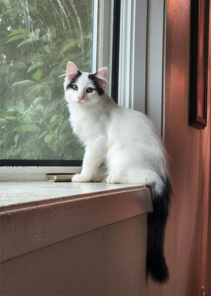 Any Name Suggestions For This Pretty Boy?