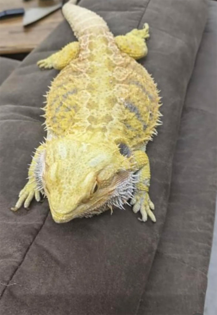 I Am Rescuing This Beauty, What Should I Name Her?