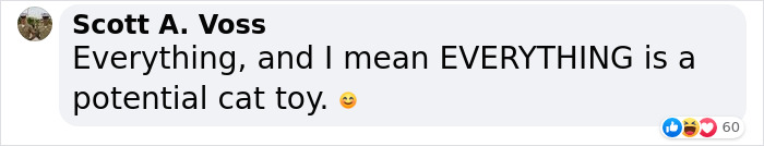 Millions Of People Rejoice At Hilarious Video Of Cat Rescuing House Keys From Hole