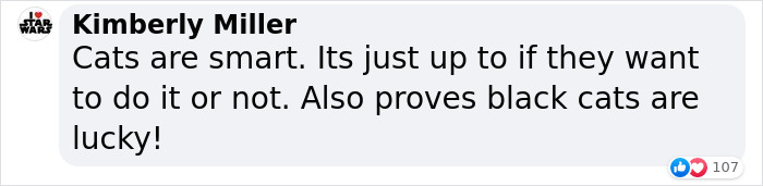 Millions Of People Rejoice At Hilarious Video Of Cat Rescuing House Keys From Hole