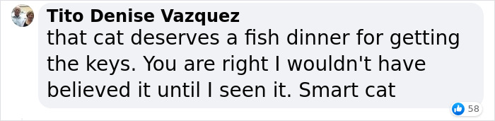 Millions Of People Rejoice At Hilarious Video Of Cat Rescuing House Keys From Hole