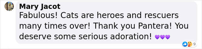 Millions Of People Rejoice At Hilarious Video Of Cat Rescuing House Keys From Hole