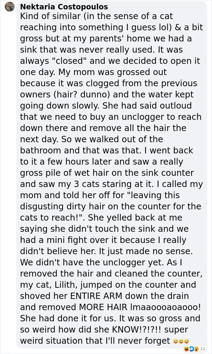 Millions Of People Rejoice At Hilarious Video Of Cat Rescuing House Keys From Hole