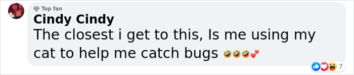 Millions Of People Rejoice At Hilarious Video Of Cat Rescuing House Keys From Hole