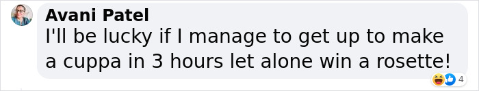 Dog Runs Away From Home And Returns With Dog Show Rosette - 17