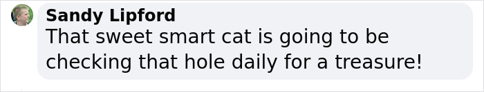 Millions Of People Rejoice At Hilarious Video Of Cat Rescuing House Keys From Hole