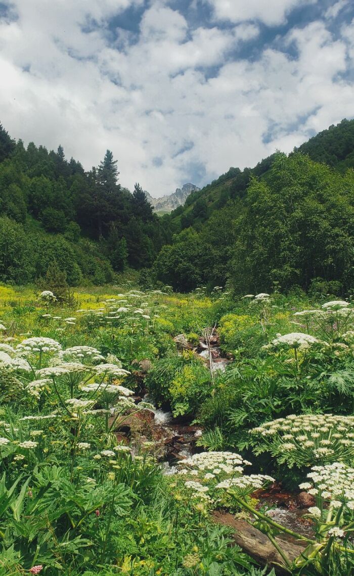 Trekking In Svaneti (9 Pics)