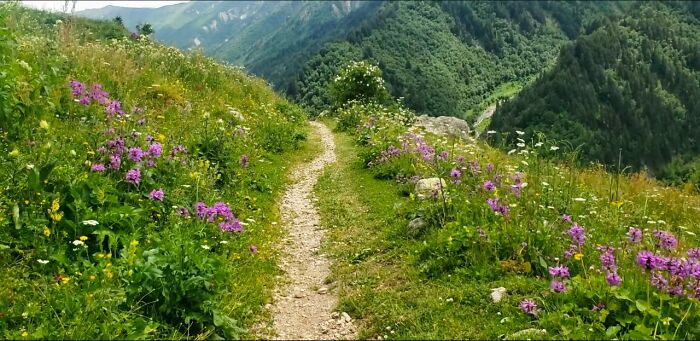 Trekking In Svaneti (9 Pics)
