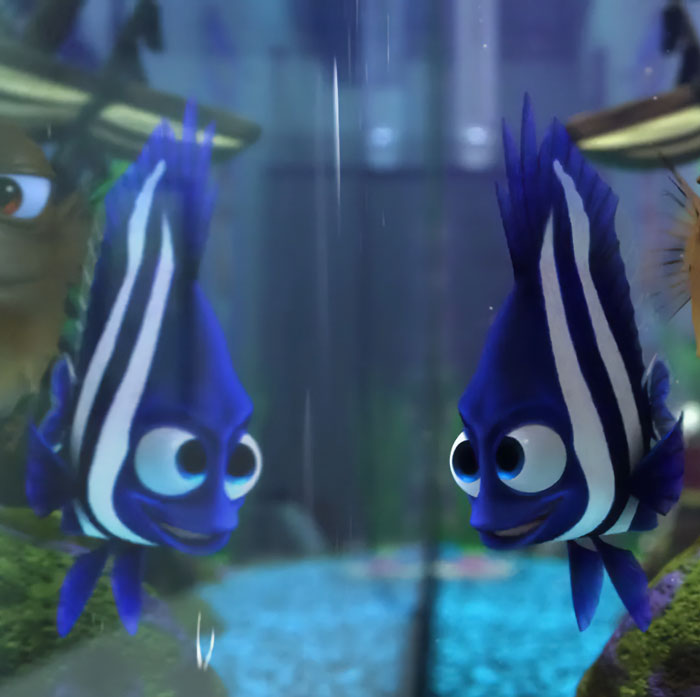 Deb smiling in the aquarium 