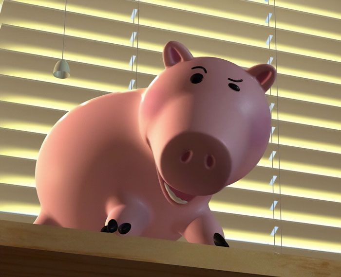 Hamm John on the windowsill