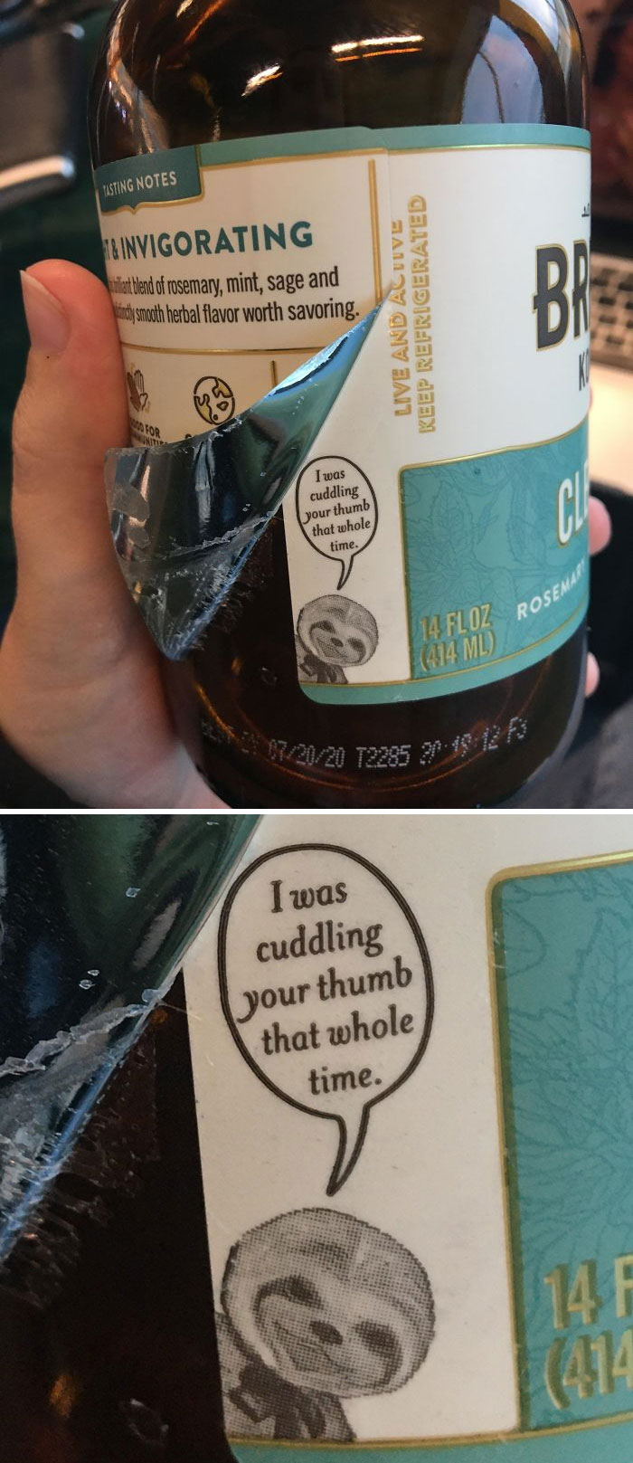 This Hidden Sloth On My Brew Dr Kombucha