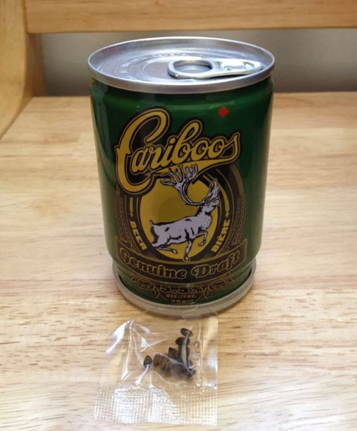 Got This In My Case Of Beer. It's A Can Of Dirt, Which Came With Seeds So You Can Plant A Tree