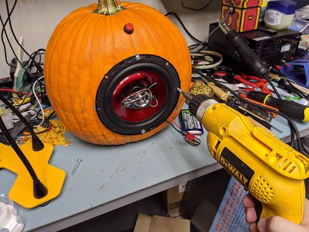 This Speaker Installation.