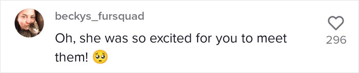 Proud Raccoon Momma Brings Her 4 Kids To Meet The Lady That&rsquo;d Been Feeding Her