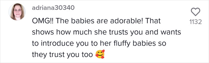 Proud Raccoon Momma Brings Her 4 Kids To Meet The Lady That&rsquo;d Been Feeding Her