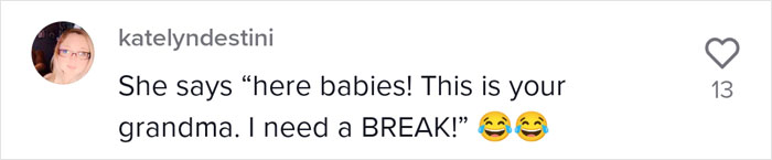 Proud Raccoon Momma Brings Her 4 Kids To Meet The Lady That&rsquo;d Been Feeding Her