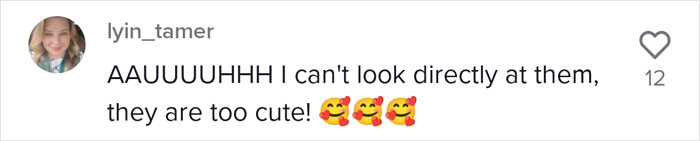 Proud Raccoon Momma Brings Her 4 Kids To Meet The Lady That&rsquo;d Been Feeding Her