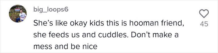 Proud Raccoon Momma Brings Her 4 Kids To Meet The Lady That&rsquo;d Been Feeding Her