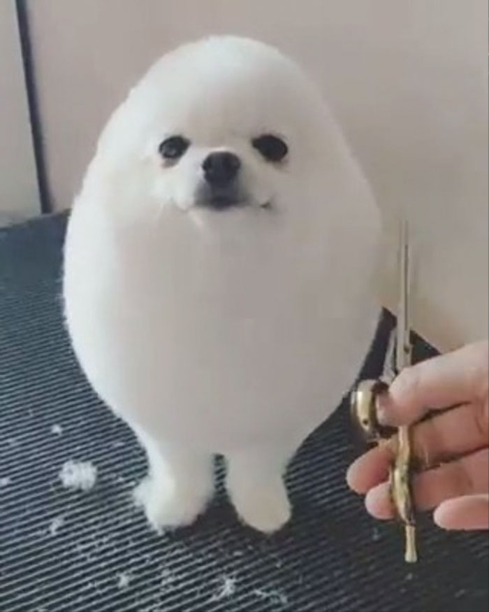 Smooth Symmetrical Boye
