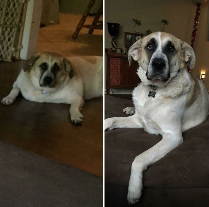 Good Girl Gets Healthy