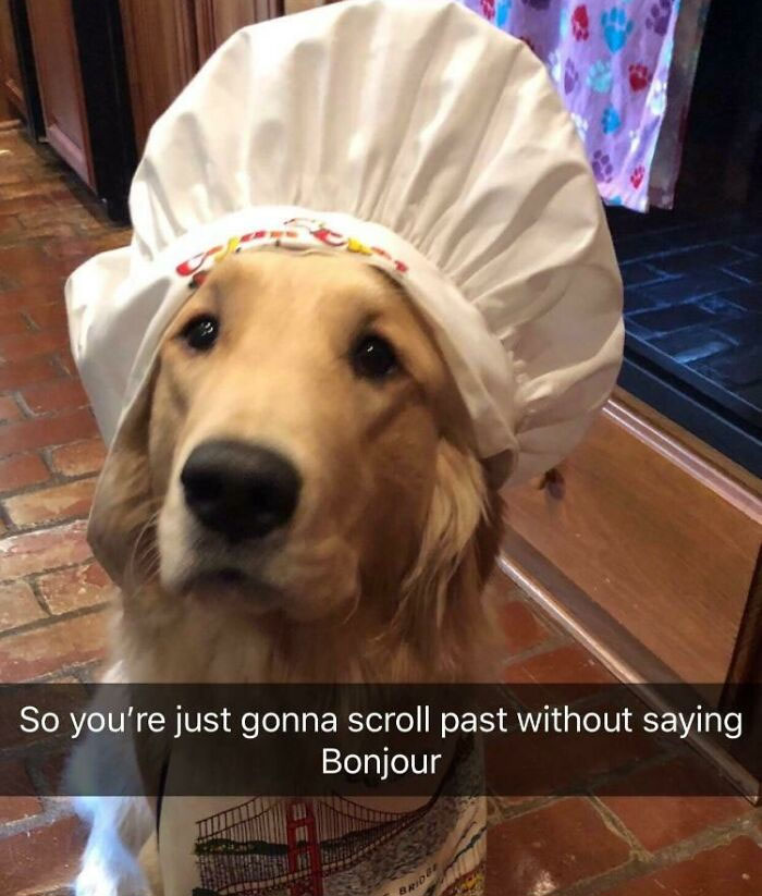 Compliments To The Chef