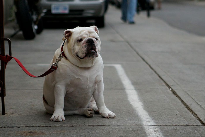 25 Historias ridículas, extrañas y tontas de situaciones muy frustrantes en el trabajo