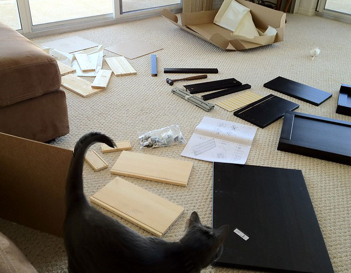 25 Historias ridículas, extrañas y tontas de situaciones muy frustrantes en el trabajo