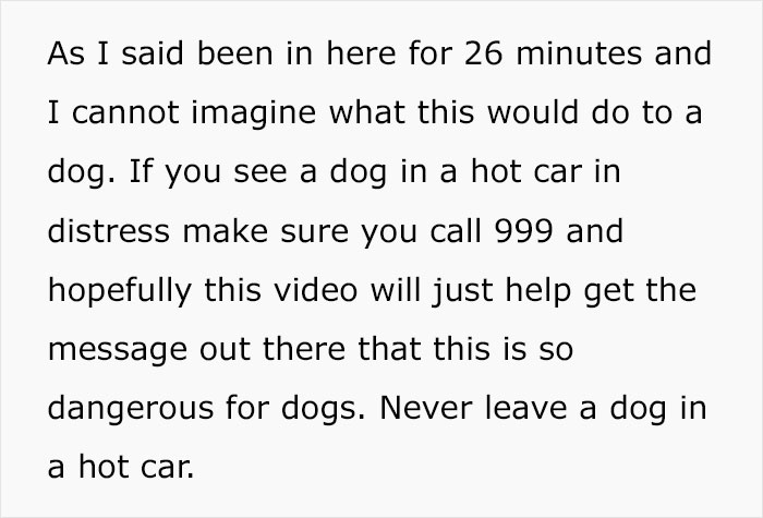 To Show How Dangerous It Is To Leave A Dog In A Car On A Hot Day, RSPCA Officer Trapped Himself In A Car For 25 Minutes - 11