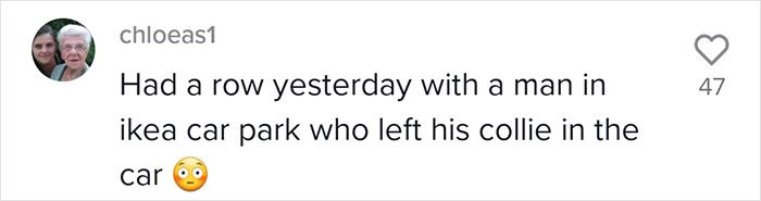 To Show How Dangerous It Is To Leave A Dog In A Car On A Hot Day, RSPCA Officer Trapped Himself In A Car For 25 Minutes