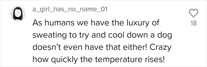 To Show How Dangerous It Is To Leave A Dog In A Car On A Hot Day, RSPCA Officer Trapped Himself In A Car For 25 Minutes