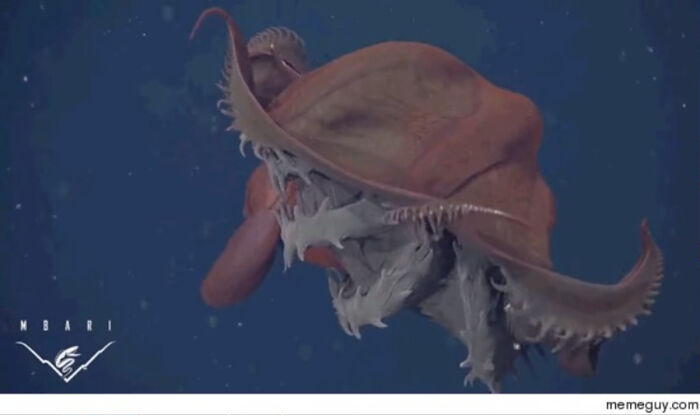 The Vampire Squid