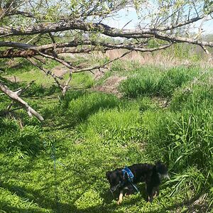 doris_friedrich avatar