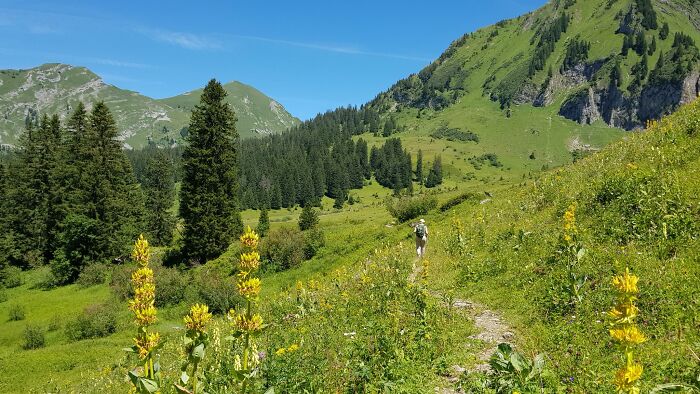 Hiking In The Mountains Of Austria And Absorbing The Nature.