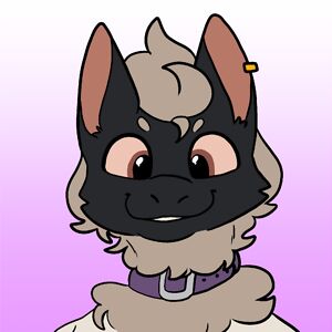 xstonerkiingx avatar