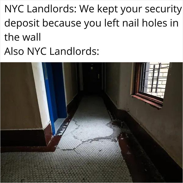 Slumlords-Gone-Wild-Instagram