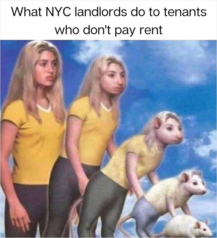 Slumlords-Gone-Wild-Instagram