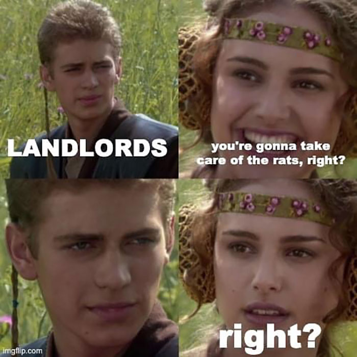 Slumlords-Gone-Wild-Instagram